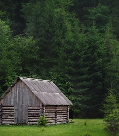Cabane en bois rustique au toit gris, située dans une clairière verdoyante, adossée à une dense forêt de pins sombres.